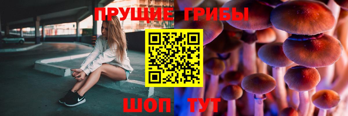 Псилоцибиновые грибы мицелий  Галлюциногенные грибы Cubensis  Новозыбков  Вход с VPN 